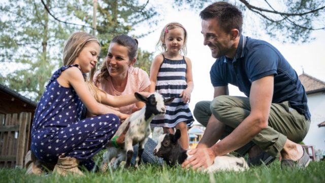 COCCOLE IN FAMIGLIA SULL'ALPE CIMBRA